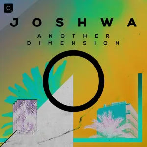 Another Dimension (extended mix)