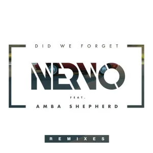 Did We Forget (feat. Amba Shepherd) (Louders Remix)