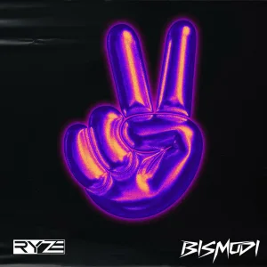 WASTE MY TIME (VIP)