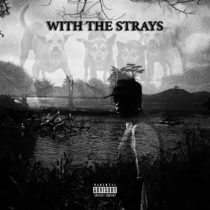 With The Strays
