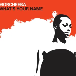 What's Your Name (feat. Big Daddy Kane) (Radio Edit)