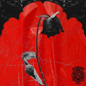 Dead Roses