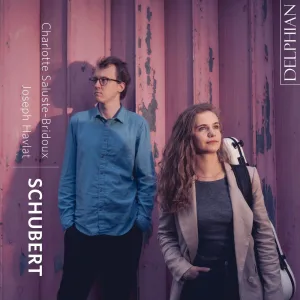 Fantasy in C Major, D. 934: IV. Tempo I (Andante molto) – Allegro vivace – Allegretto – Presto