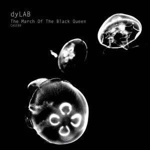 The dead of night (original mix)