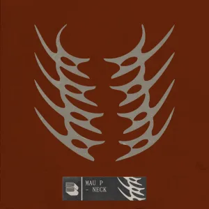 neck