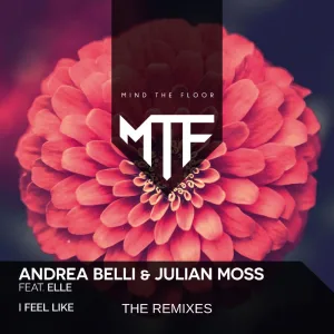 I Feel Like (Wlady & T.n' .Y. Radio Remix)