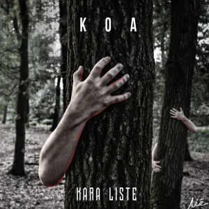 Kara Liste