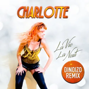 La vie la nuit (Dinoizo Radio Edit Remix)