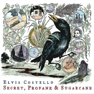 Sulphur To Sugarcane