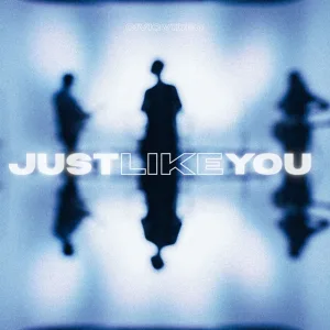 Just Like You