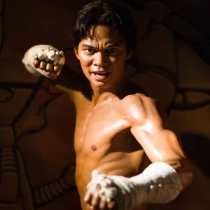 no muay thai