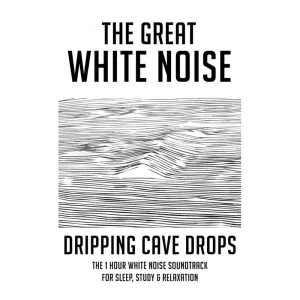 Dripping Cave Drops: The 1 Hour White Noise Soundtrack for Sleep, Study & Relaxation