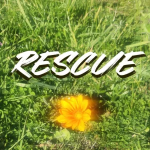 Rescue