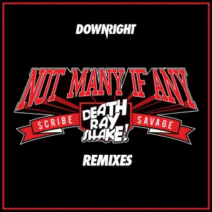 Not Many If Any (Blanke Remix)