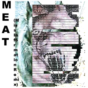 m3at (miss information remix)