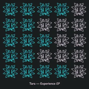 Experience (Original Mix)