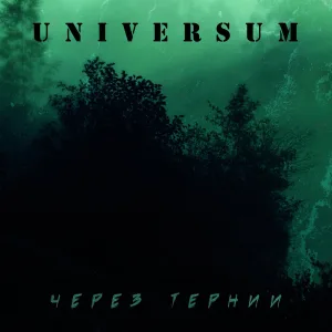 Через тернии