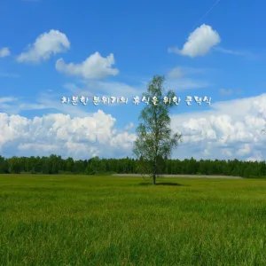 Ellens Dritter Gesang Op.52-6 D.839 'Ave Maria'