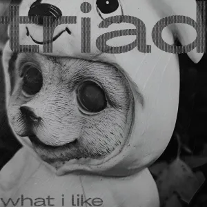 What I Like