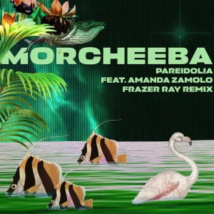 Pareidolia