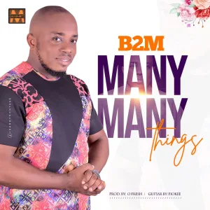 Many Many Things (feat. Fiokee)