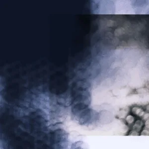 Disc 2