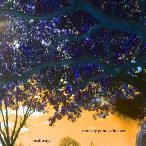 monkey gone to heaven