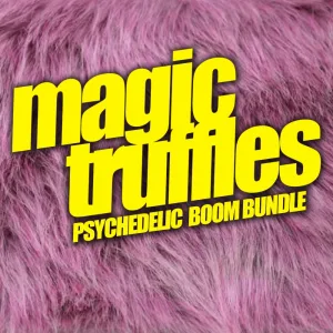 Magic Forest