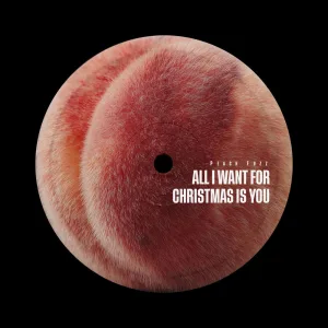 All I Want For Christmas Is You