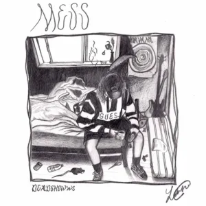 Mess