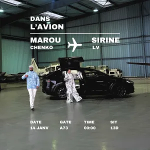 Dans l'avion