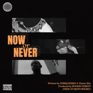 Now or Never (feat. Dexter Fizz)