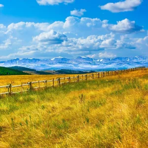 Wyoming Water Valley Birds and Wind
