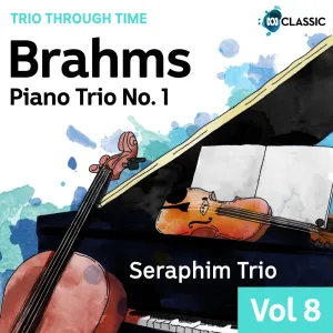 Piano Trio No. 1 in B Major, Op.8: 4. Finale. Allegro