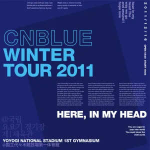 voice (Live-2011 Winter Tour -In My Head-@Yoyogi National Gymnasium, Tokyo)