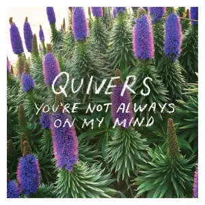 You're Not Always On My Mind