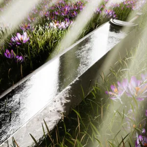 Claymore
