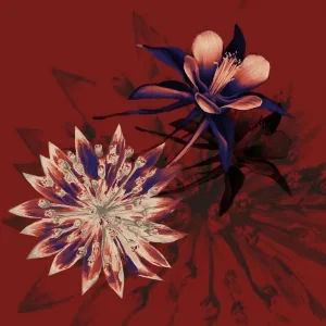 Wildflower