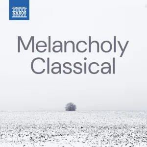 Requiem in D Minor, K. 626: Sequence: VI. Lacrimosa dies illa