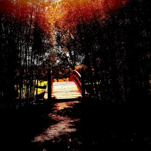 When I (feat. RichOmen)