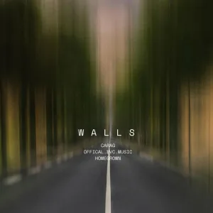 Walls