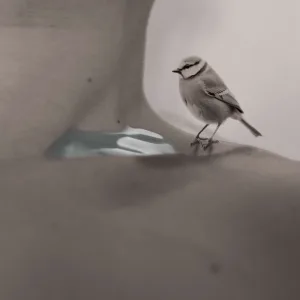 Rainbawl