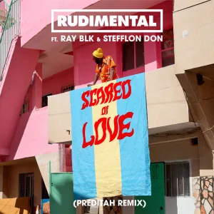 Scared of Love (feat. RAY BLK & Stefflon Don) (Preditah Remix)