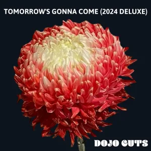 Don't You See (Deluxe LP Extra)