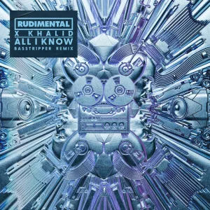 All I Know (Basstripper Remix)