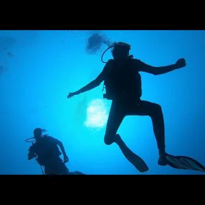 Bottom of the Ocean