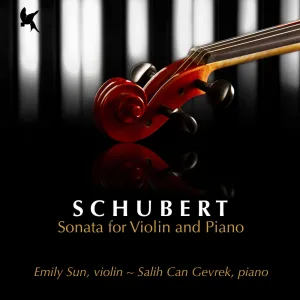 Sonata for Violin and Piano in G Minor, D. 408: IV. Allegro moderato