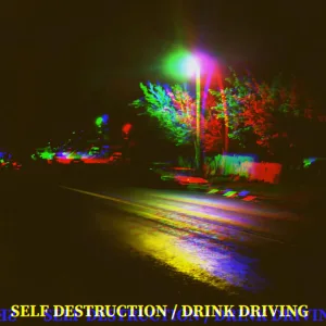 SELF DESTRUCTION