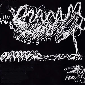 Downriver Beat (Live)