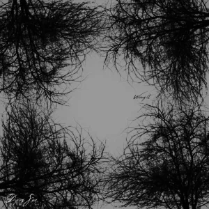 In Constellation